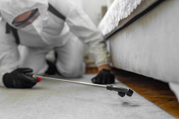 Professional Pest Control technician working in Sampson County County, NC